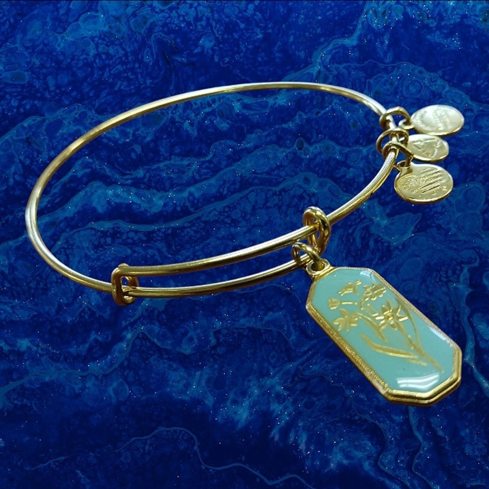 Alex And Ani Bracelet